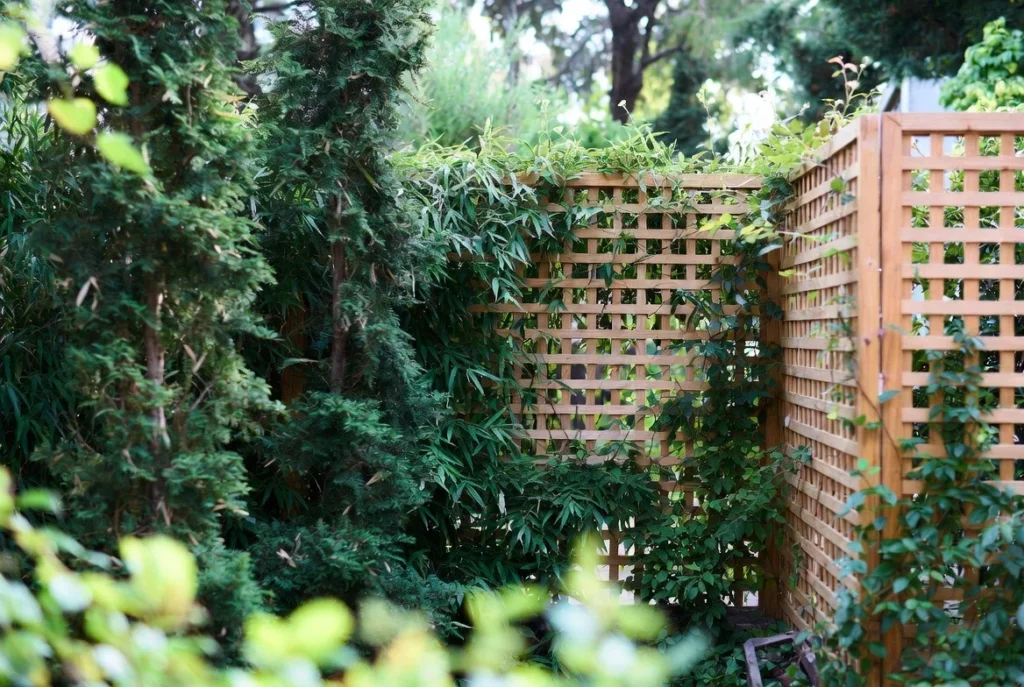 Add Privacy Screening