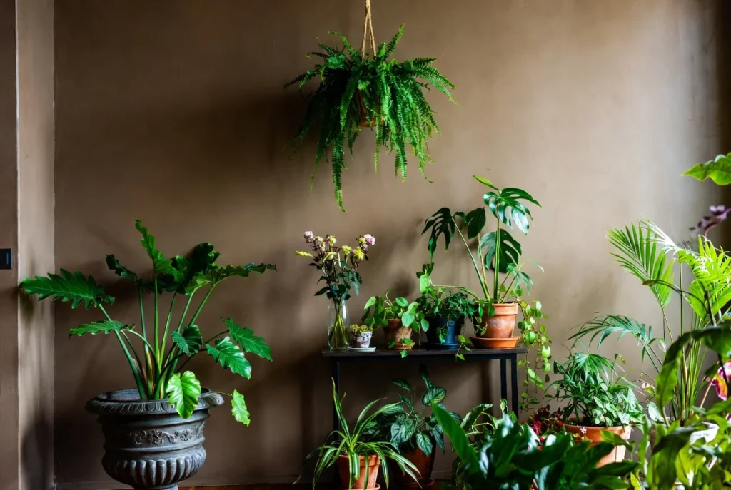 Bring in Houseplants and Greenery