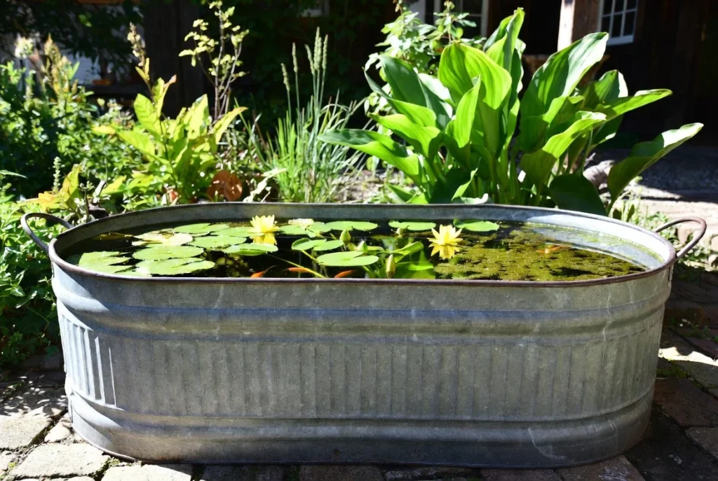 Create Galvanized Tub Water Gardens