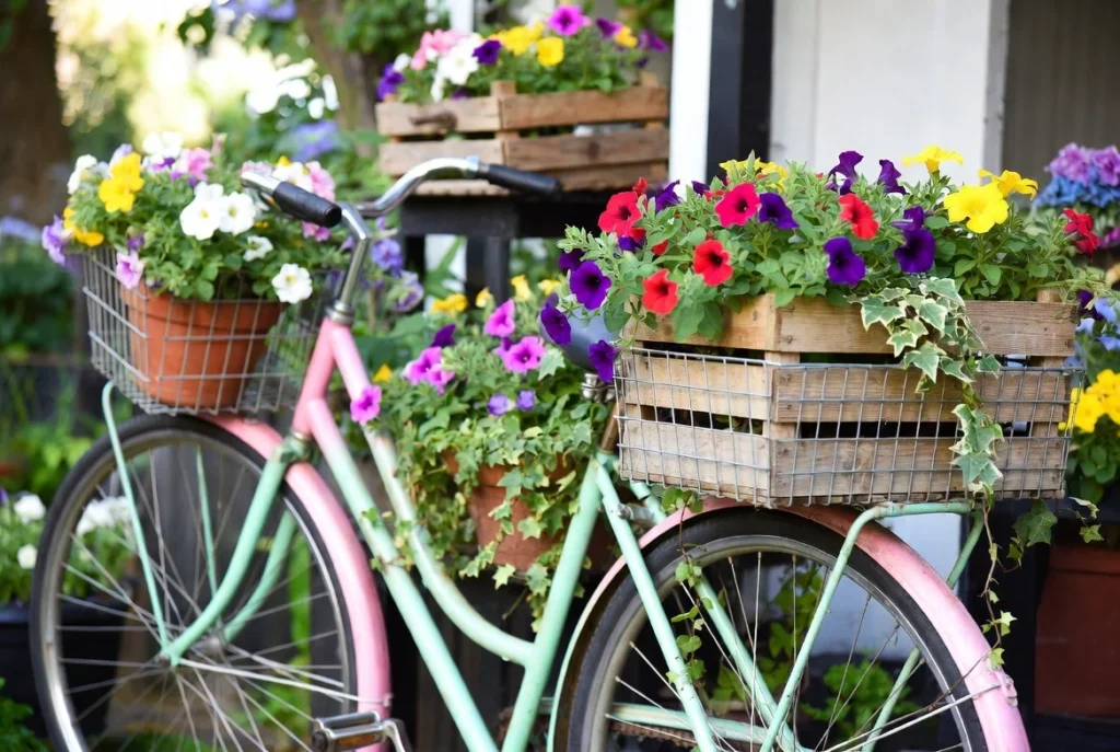 Design Bicycle Planter Displays