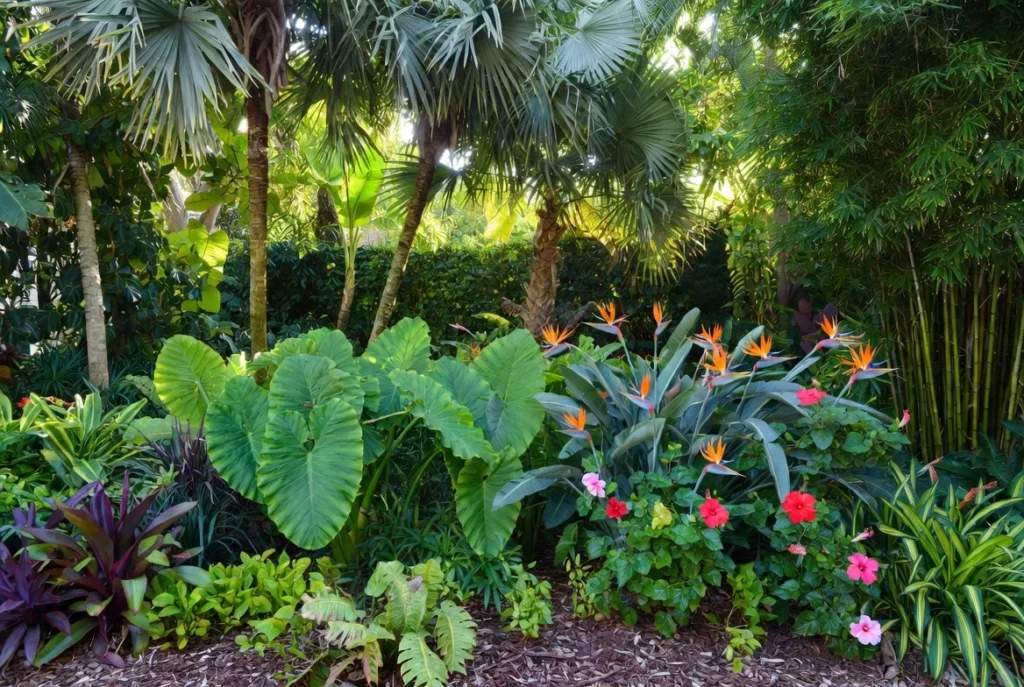 Design Tropical Landscaping