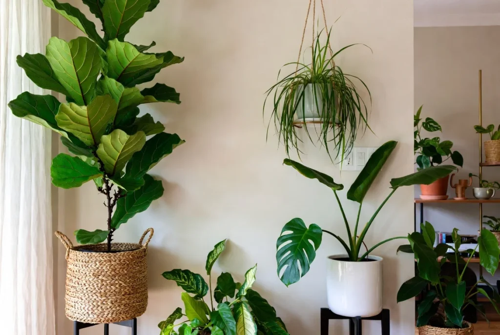 Design With Coastal Greenery