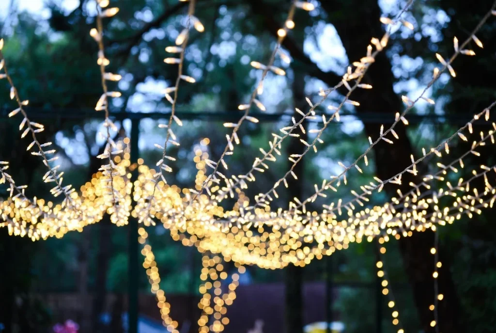 Hang Fairy Light Canopies