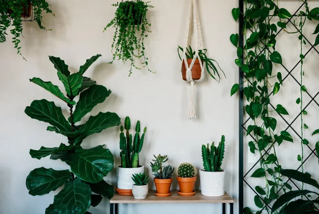 Incorporate Plants and Greenery