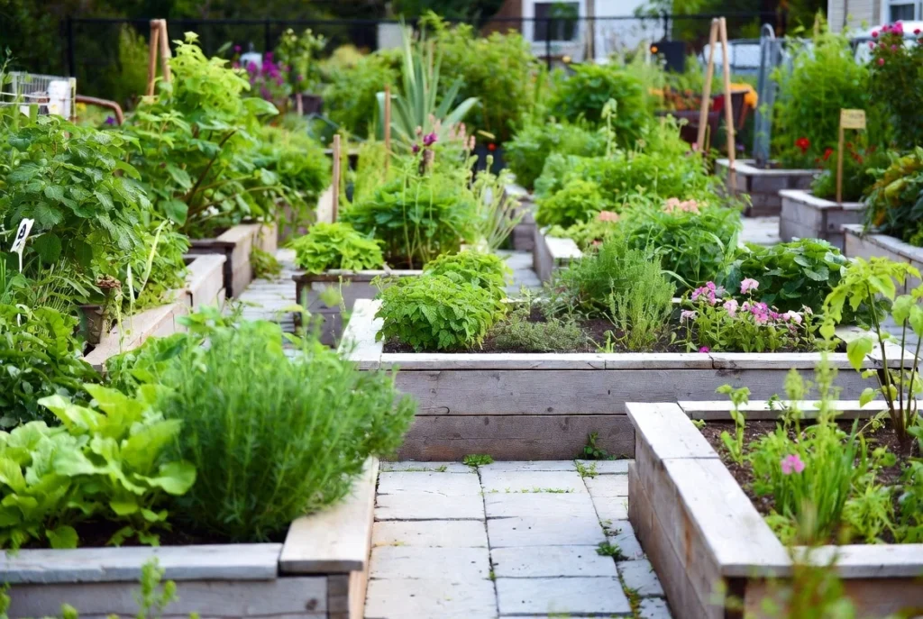Incorporate Raised Garden Beds