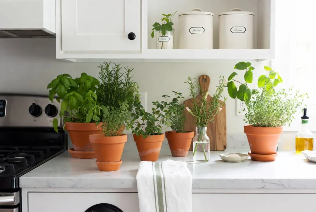 Add Personality with White Kitchen Decor Accents