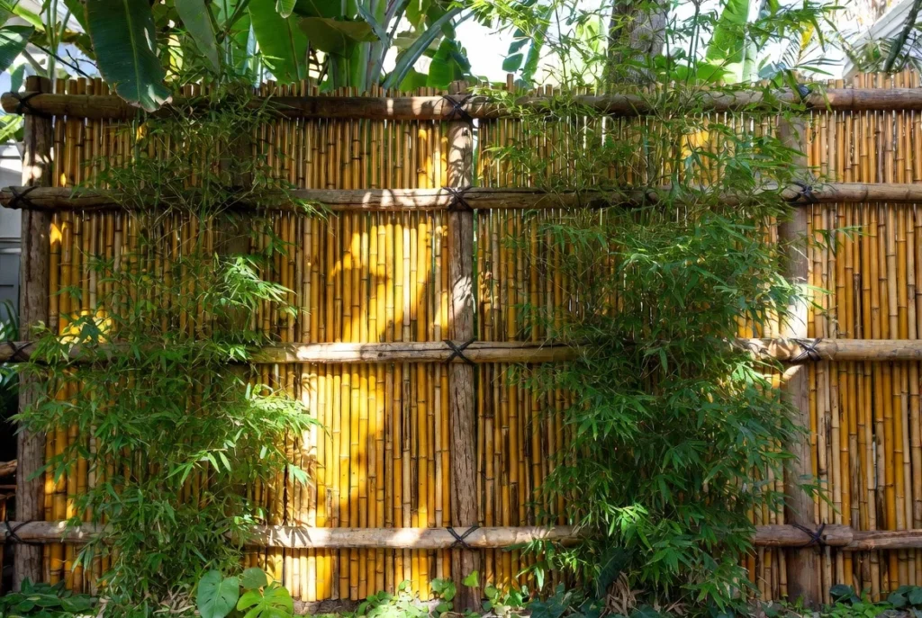 Bamboo Privacy Screens for Tropical Natural Privacy